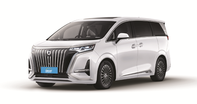 Denza D9 (Year 2025)