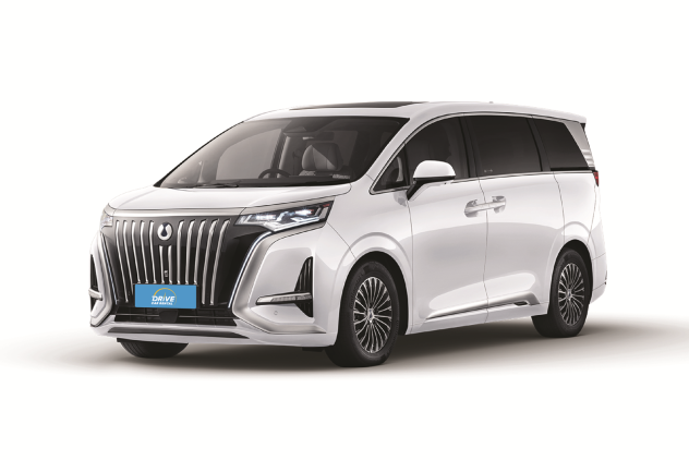 Denza D9 (Year 2025)