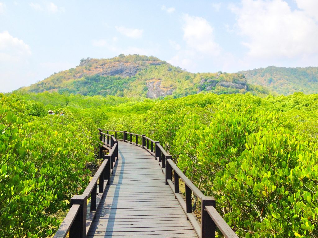 วนอุทยานปราณบุรี
