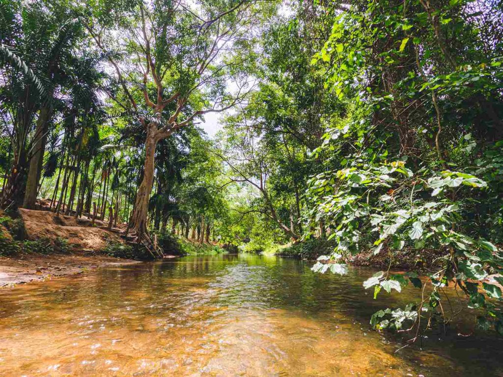 สวนผึ้ง จังหวัดราชบุรี