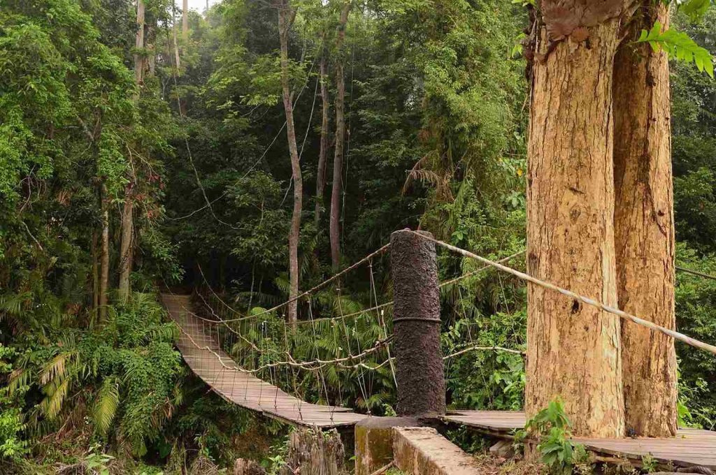 เขาใหญ่