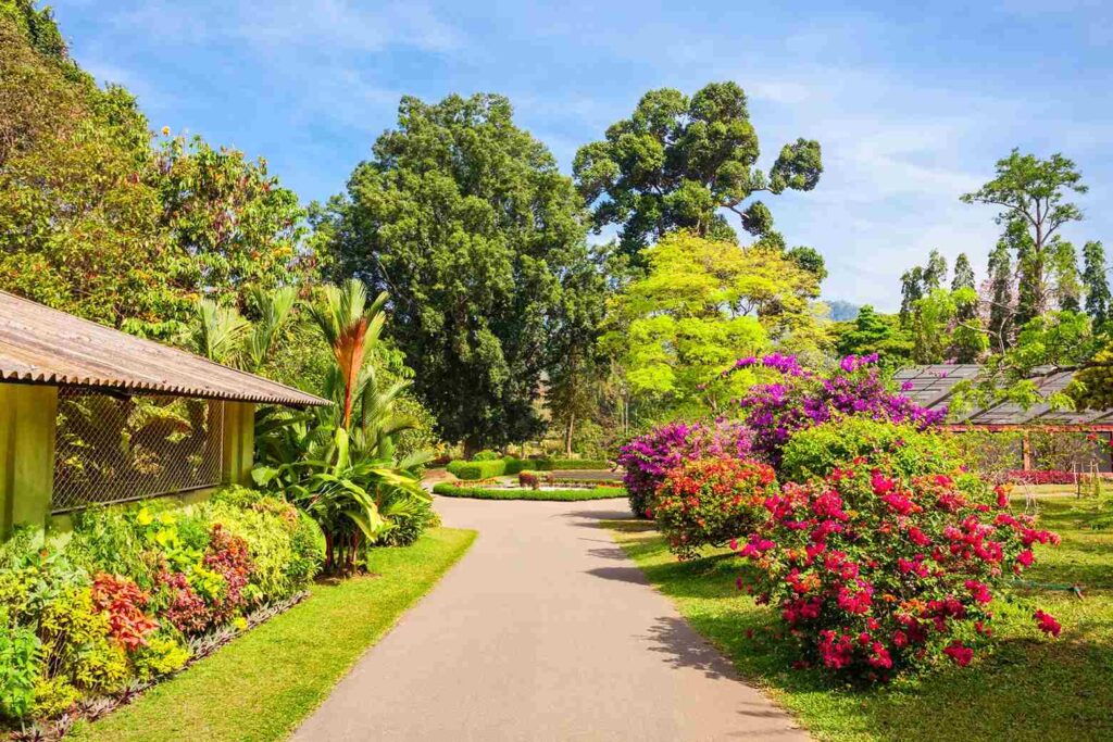 สวนกุหลาบหลวง