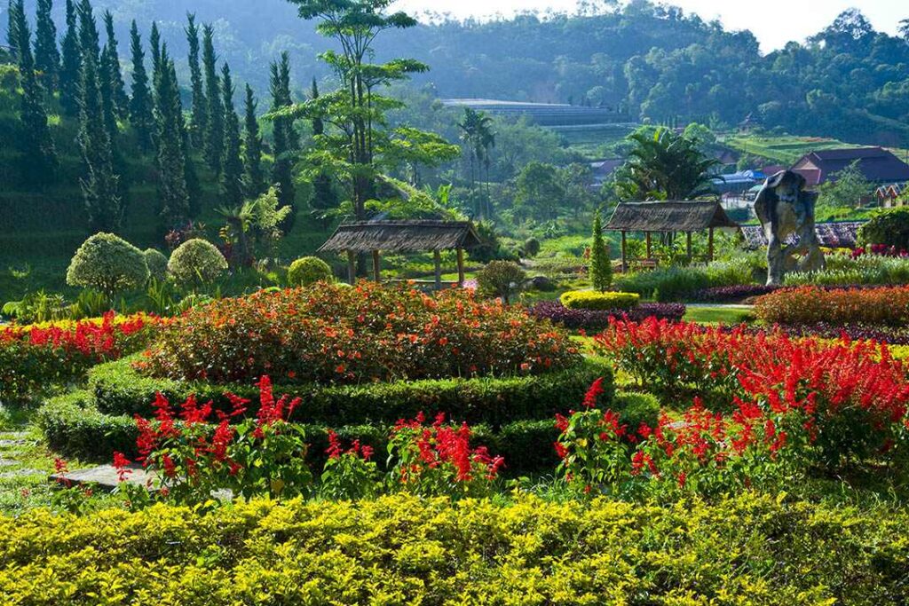 สวนไม้ดอกเมืองหนาวเบตง