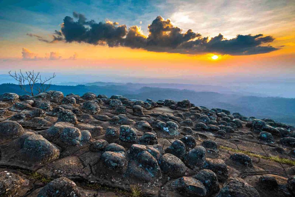 อุทยานแห่งชาติภูหินร่องกล้า (พิษณุโลก) อุทยานแห่งชาติภูหินร่องกล้า (พิษณุโลก)
