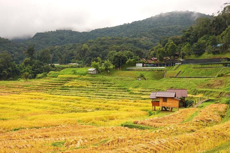 หมู่บ้านบนดอย-บ้านแม่กลางหลวง