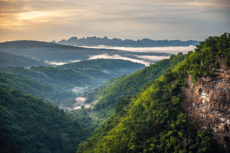 อุทยานแห่งชาติน้ำหนาว จุดชมทะเลหมอกใกล้กรุงเทพ