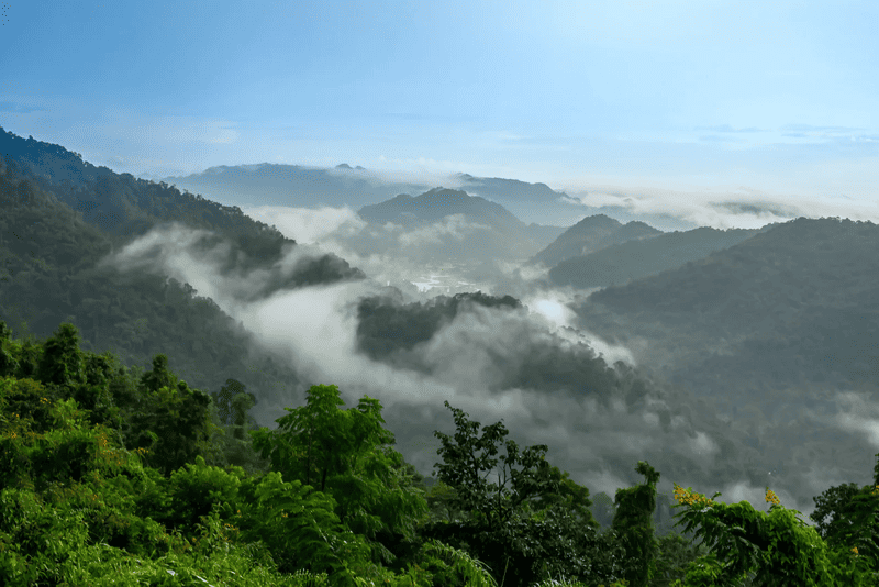 อุทยานแห่งชาติเขาใหญ่ จุดชมทะเลหมอกใกล้กรุงเทพ