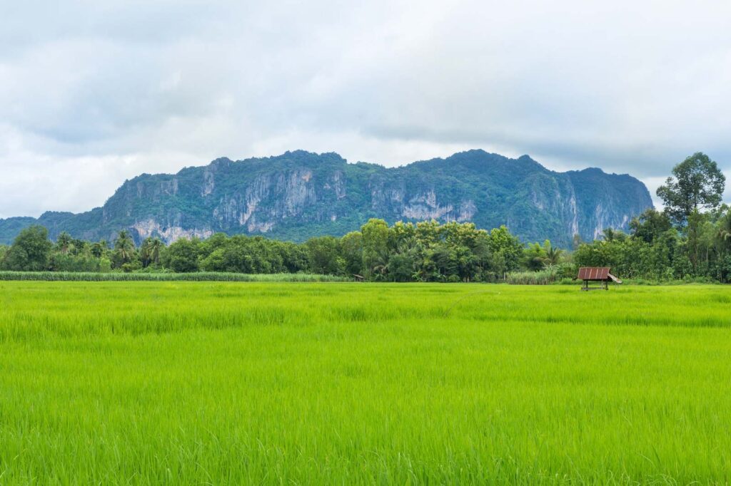 อุทยานแห่งชาติภูผาม่าน จังหวัดขอนแก่น