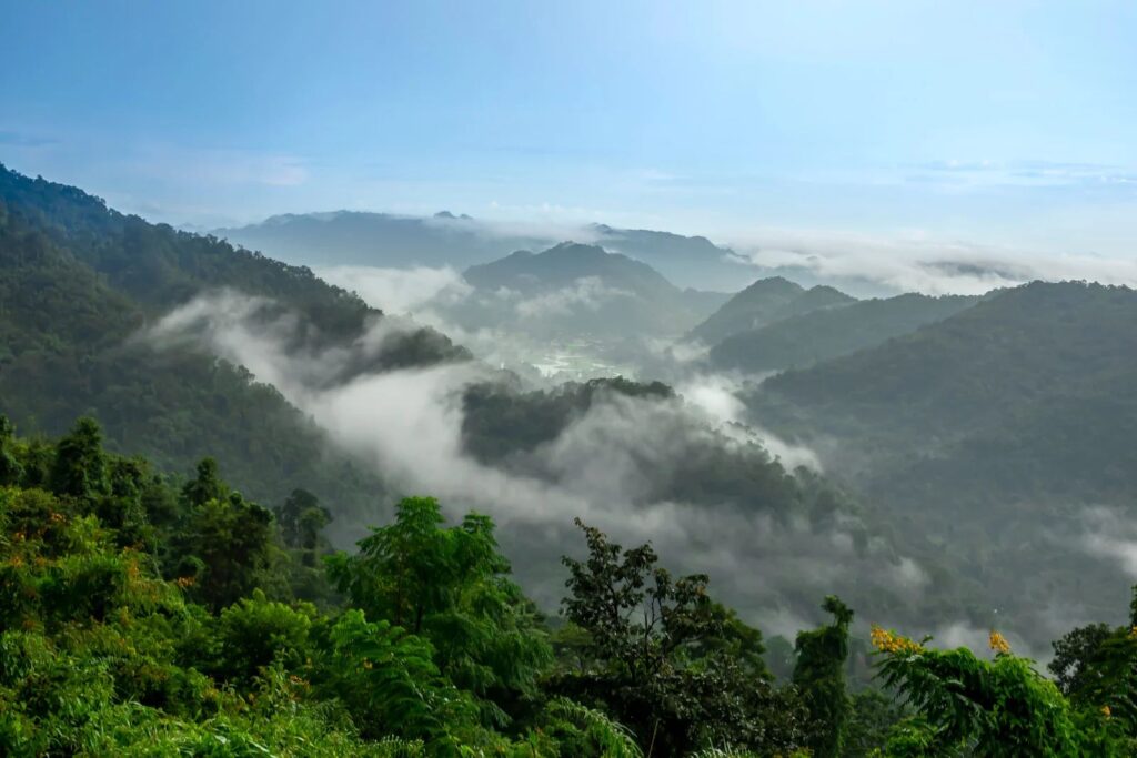 อุทยานแห่งชาติเขาใหญ่