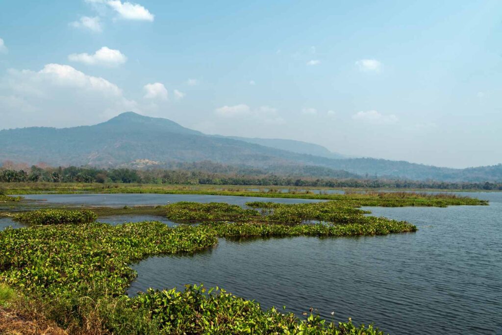 อุทยานแห่งชาติทับลาน จังหวัดปราจีนบุรี