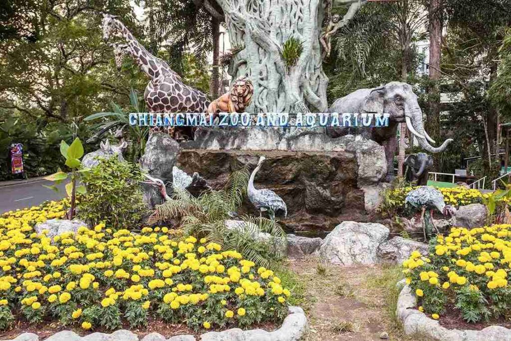 สวนสัตว์เชียงใหม่เป็นสวนสัตว์ในความดูแลขององค์การสวนสัตว์แห่งประเทศไทย ในพระบรมราชูปถัมภ์
