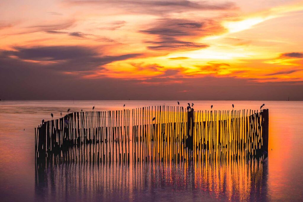 สถานตากอากาศบางปู สมุทรปราการ