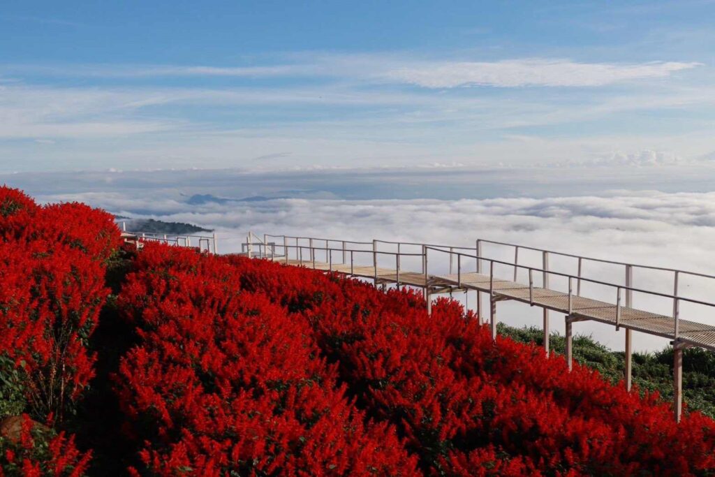 สวนดอกไม้ยิ่งยง