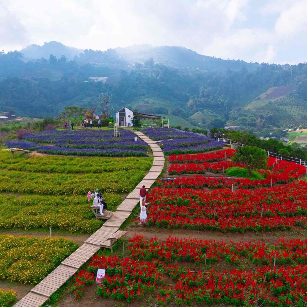 สวนดอกไม้ป้างฮวา