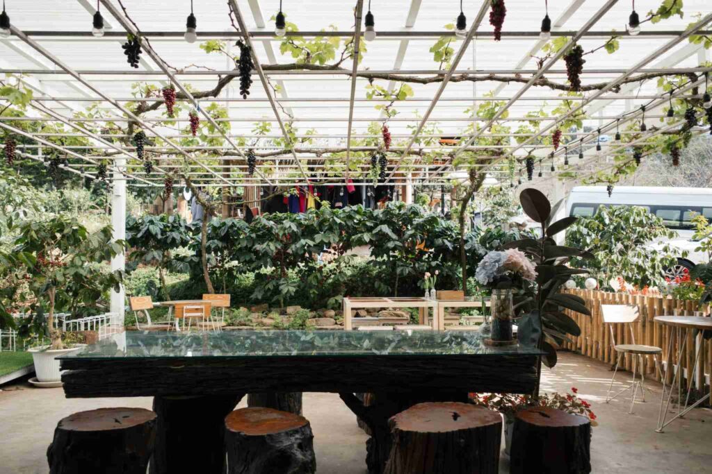 สวนองุ่นอีเดน ม่อนแจ่ม