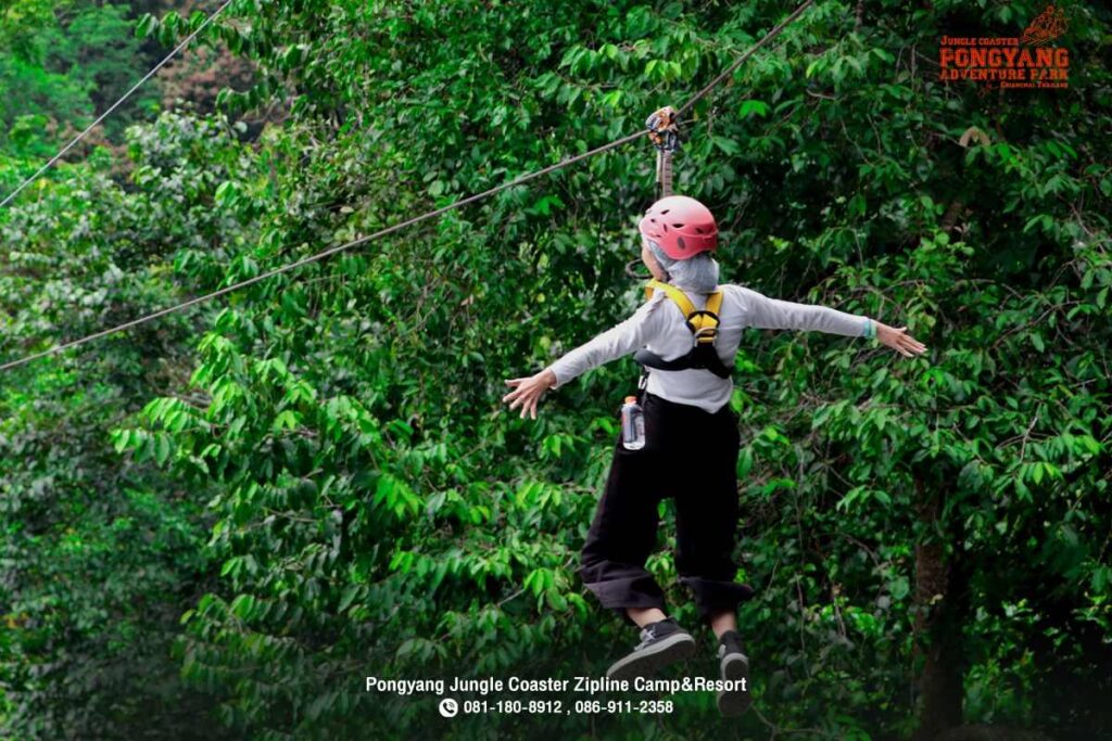 Pongyang Jungle Coaster & Zipline