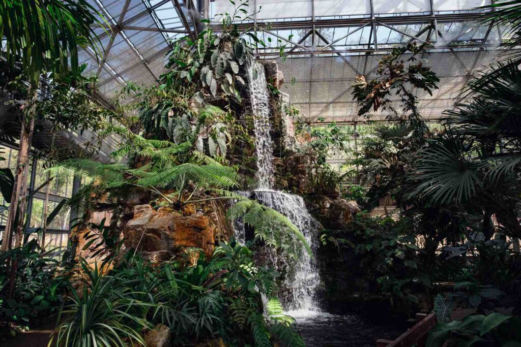 เรือนเพาะชำของ สวนพฤกษศาสตร์สมเด็จพระนางเจ้าสิริกิติ์