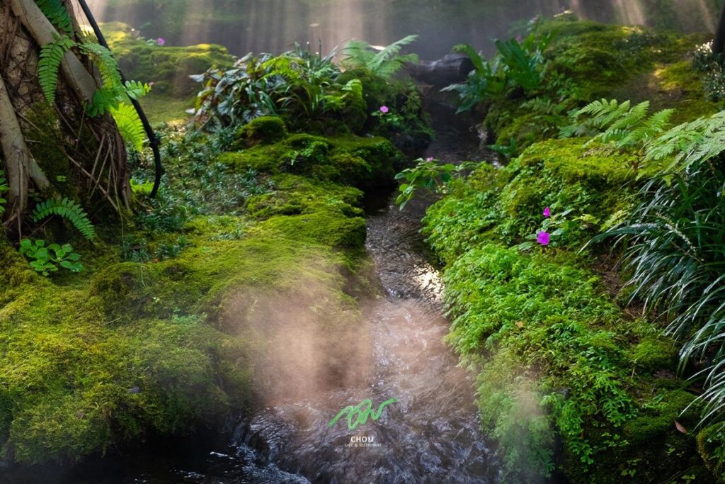 Chom Cafe & Restaurant