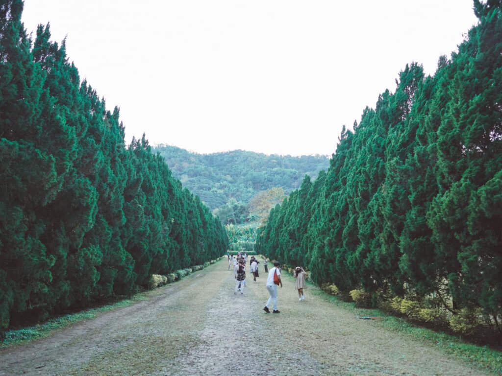 RACHEL COFFEE เชียงใหม่