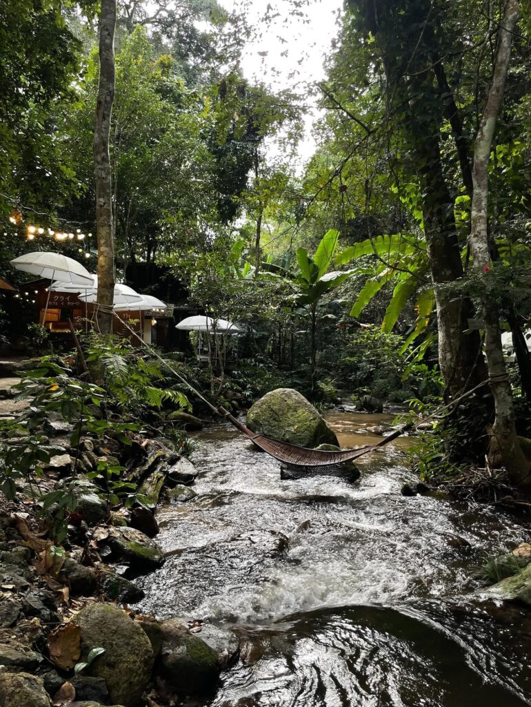 Claai Cafe'& Eatery เชียงใหม่