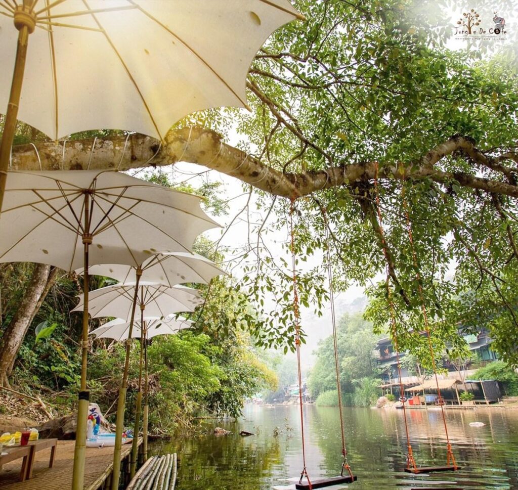 Jungle De Cafe เชียงใหม่