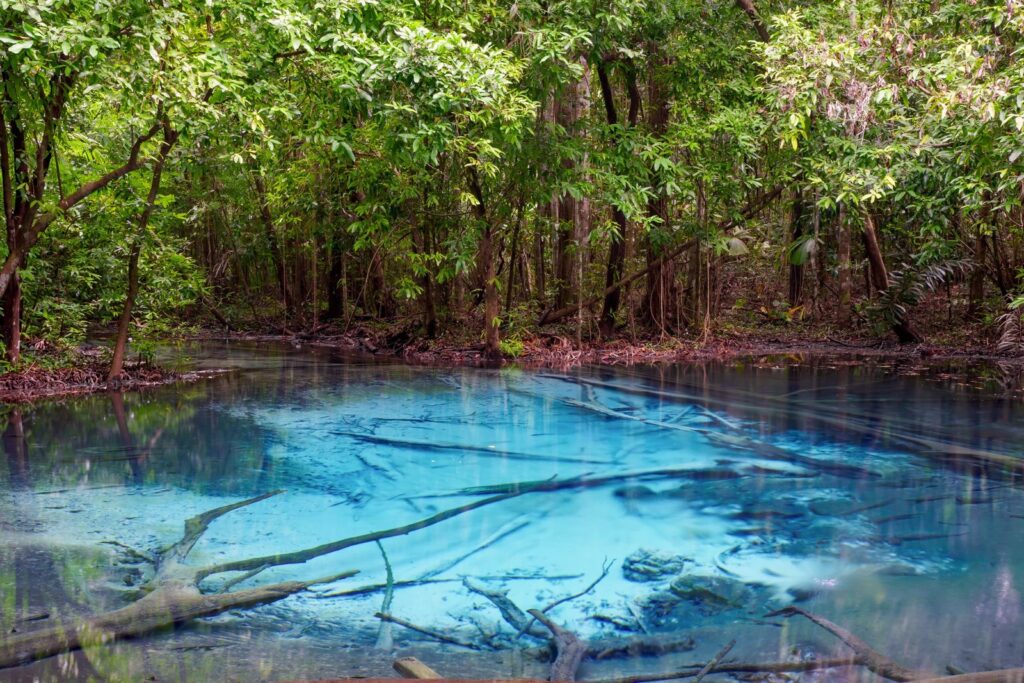 สระมรกต จังหวัดกระบี่