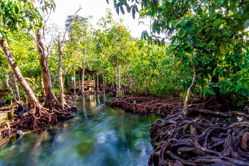 ท่าปอมคลองสองน้ำ จังหวัดกระบี่