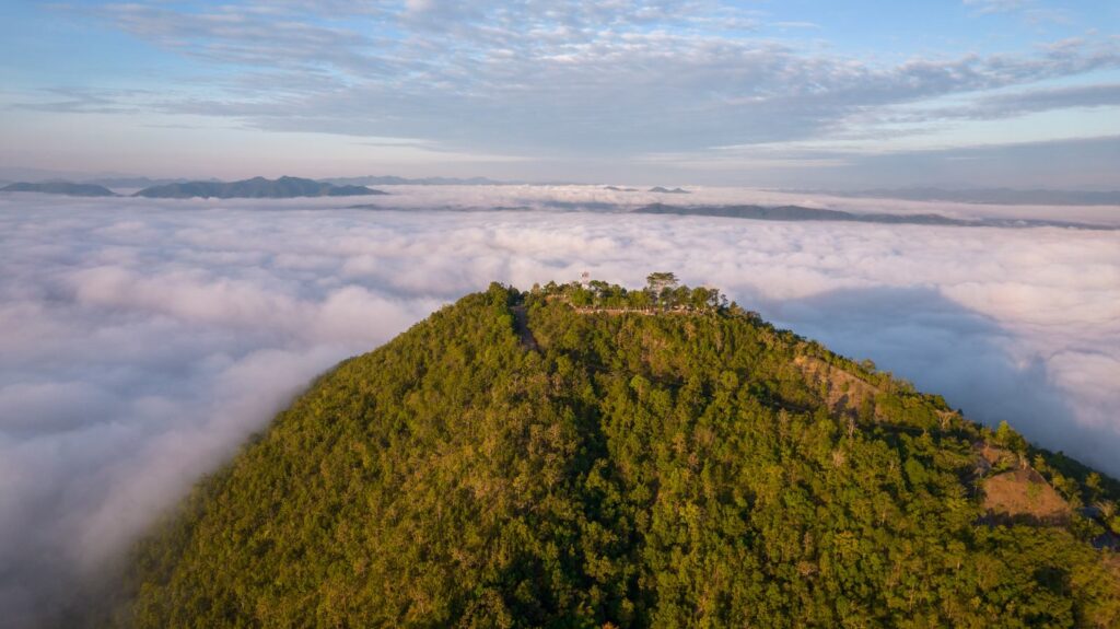 ทะเลหมอกภูทอก จ.เลย