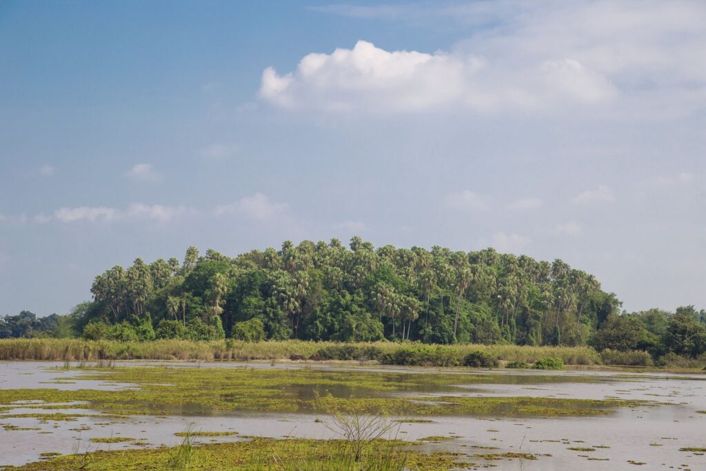 ป่าคำชะโนด จังหวัดอุดรธานี