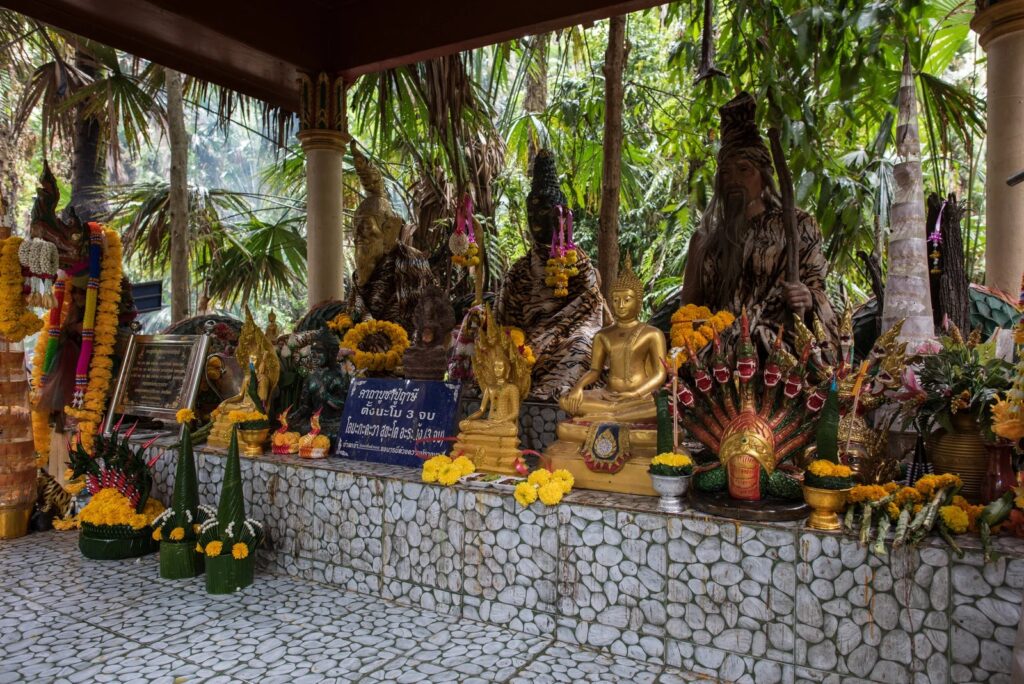 จุดเช็กอินศักดิ์สิทธิ์ วัดป่าคำชะโนด จังหวัดอุดรธานี