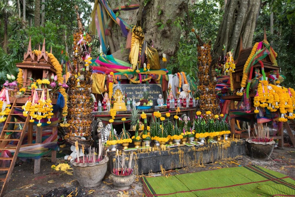 ข้อควรรู้ของวัดป่าคำชะโนด จังหวัดอุดรธานี