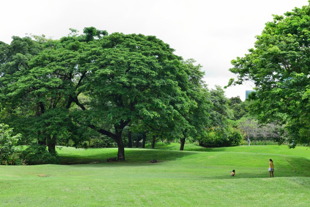 สวนวชิรเบญจทัศ สวนสาธารณะกรุงเทพ