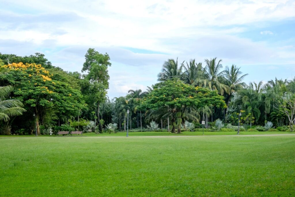 สวนสมเด็จพระนางเจ้าสิริกิติ์ฯ สวนสาธารณะกรุงเทพ