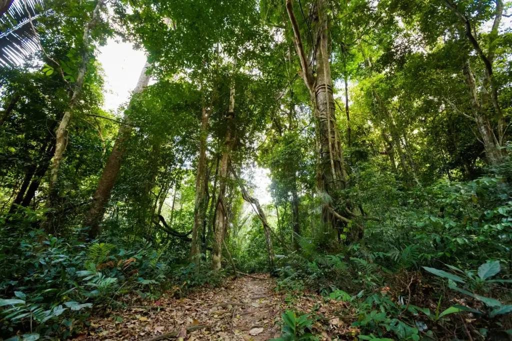 ภายในเขตพื้นที่อุทยานแห่งชาติเขาพนมเบญจา